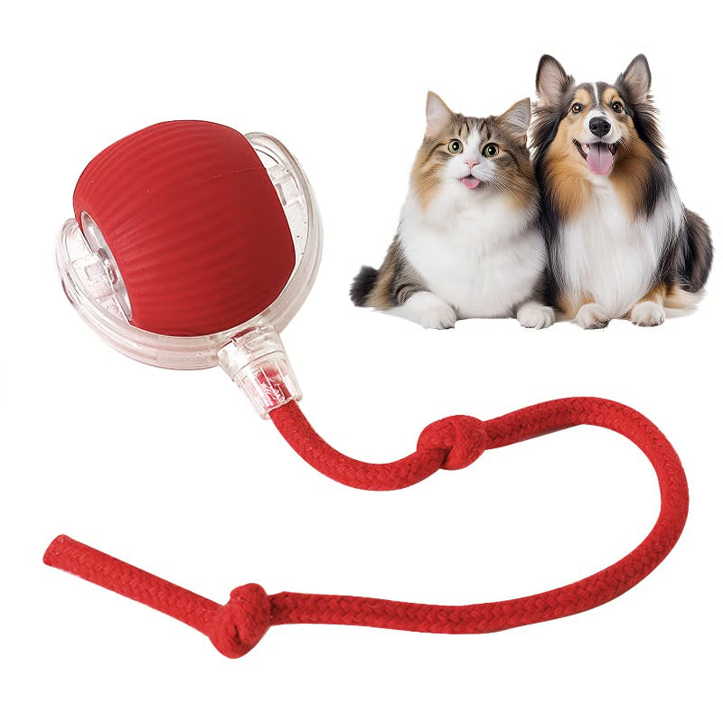 RollBuddy™ Smart Pet Toy