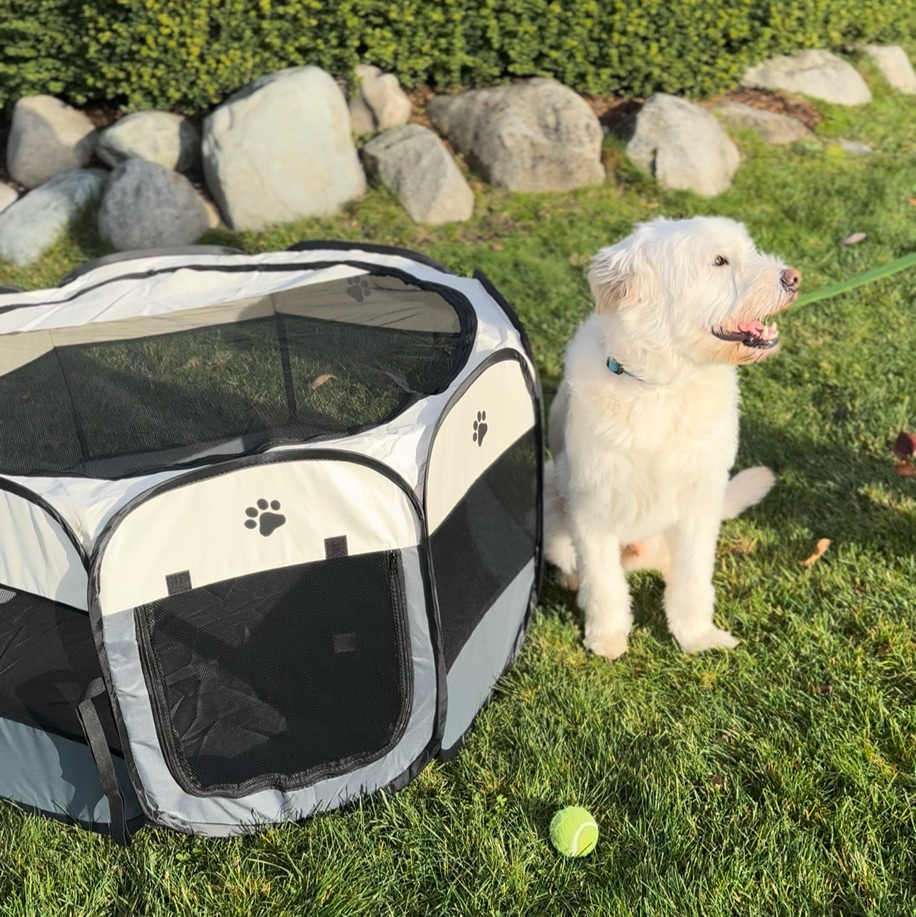 DreamDen™ Portable Pet Retreat