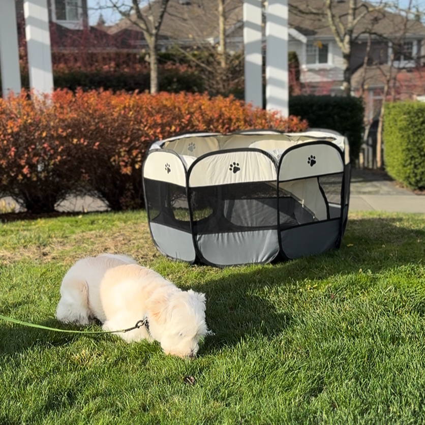 DreamDen™ Portable Pet Retreat