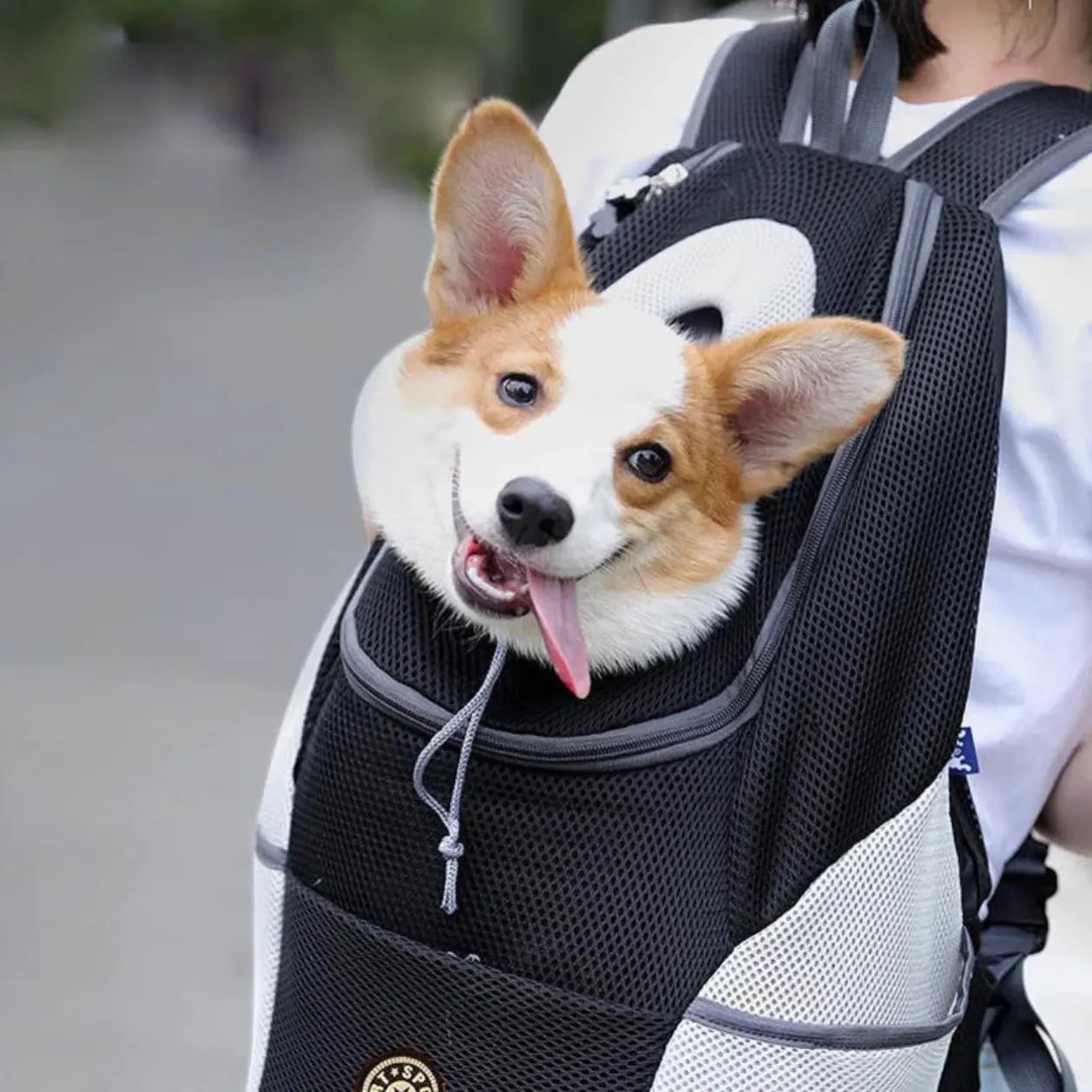 The PawPorter™ Comfort Travel Backpack.