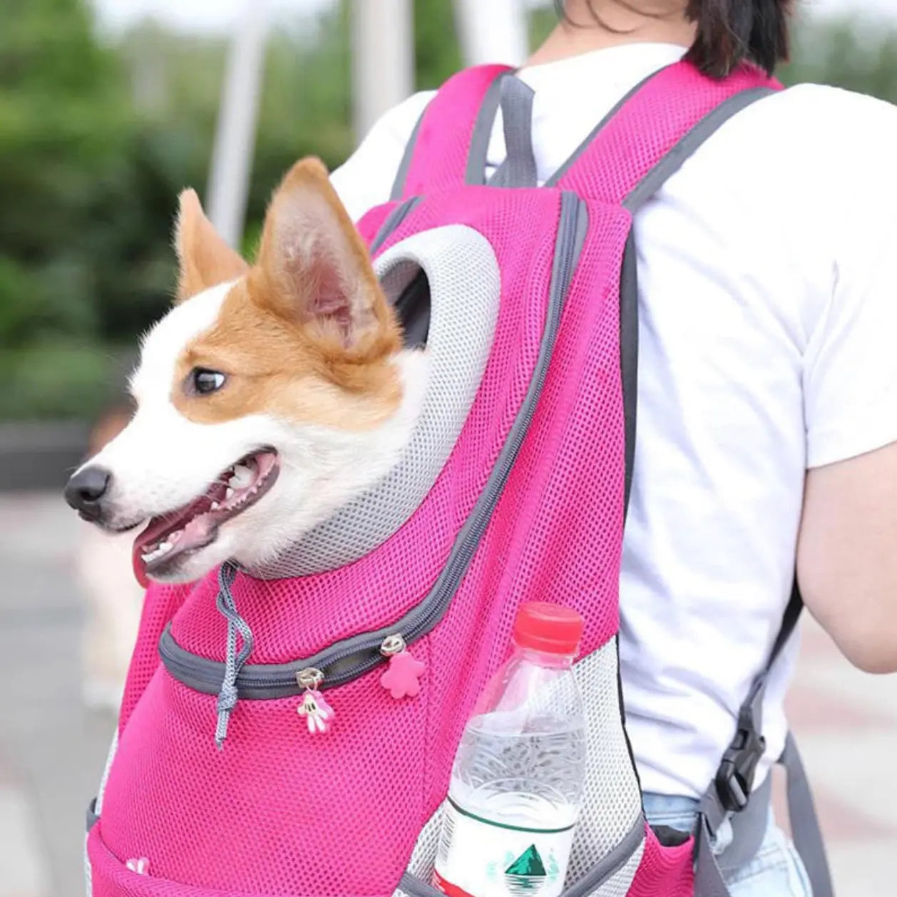 The PawPorter™ Comfort Travel Backpack.