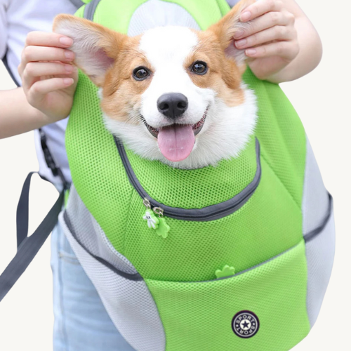 The PawPorter™ Comfort Travel Backpack