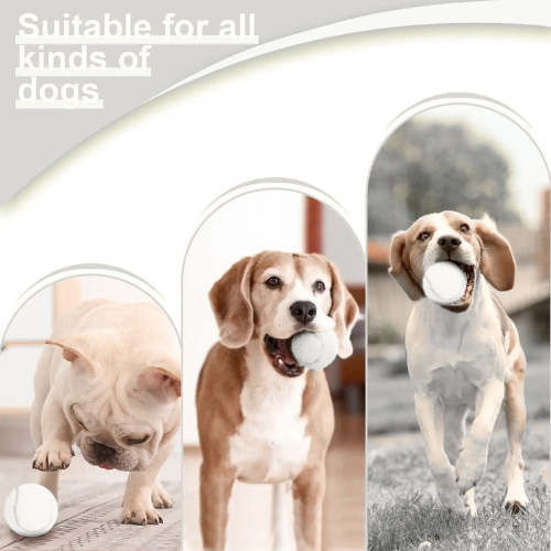 Woof Cannon™ The Next AirBud?