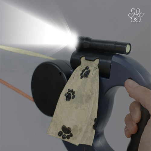 DuoGlide™ LED Leash